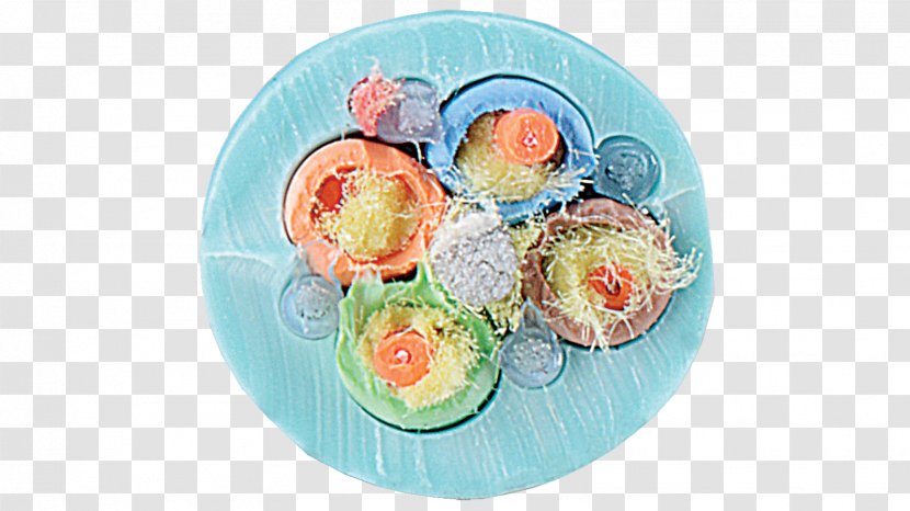 Recipe Mitsui Cuisine M - Plate - Optical Fiber Buffer Transparent PNG