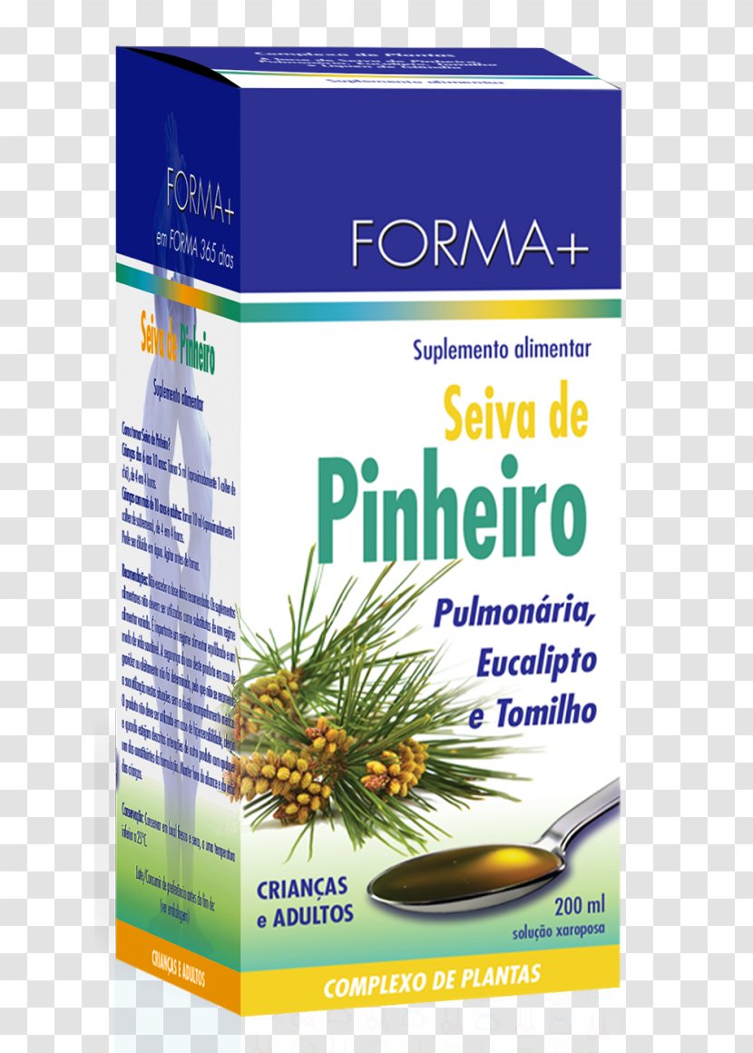 Pine Sap Plant Syrup Cough Transparent PNG