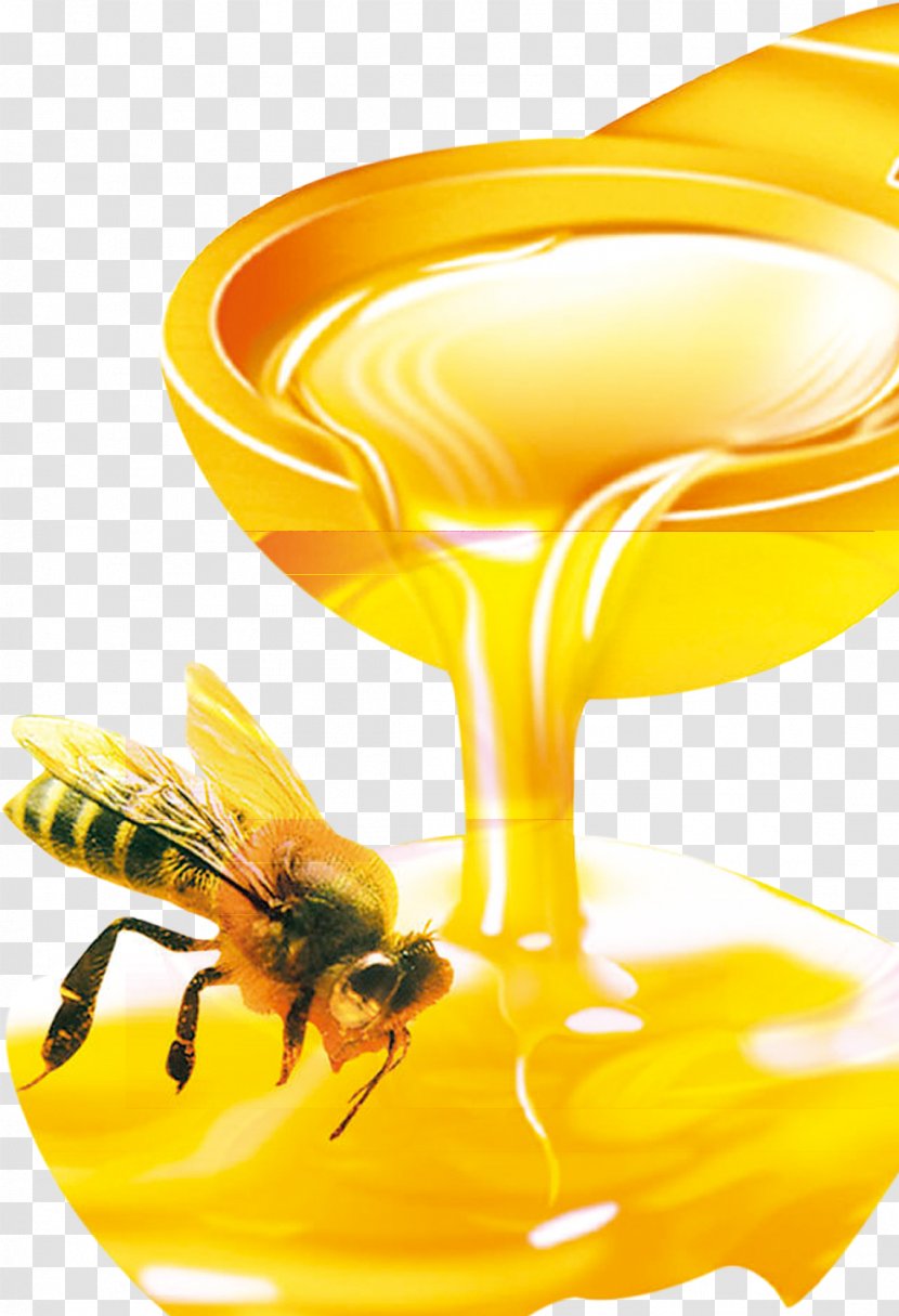 Honey Bee Organic Food Beehive - Royal Jelly - Honey,bee Transparent PNG