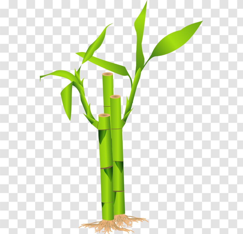 Bamboo Clip Art - Flowerpot - Download Icon Vectors Free Transparent PNG