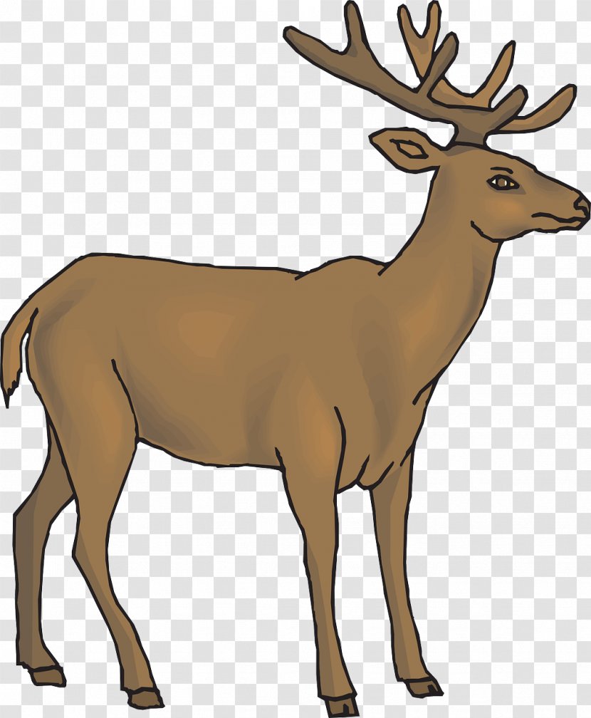 White-tailed Deer Antelope Line Art Clip - Brown Transparent PNG