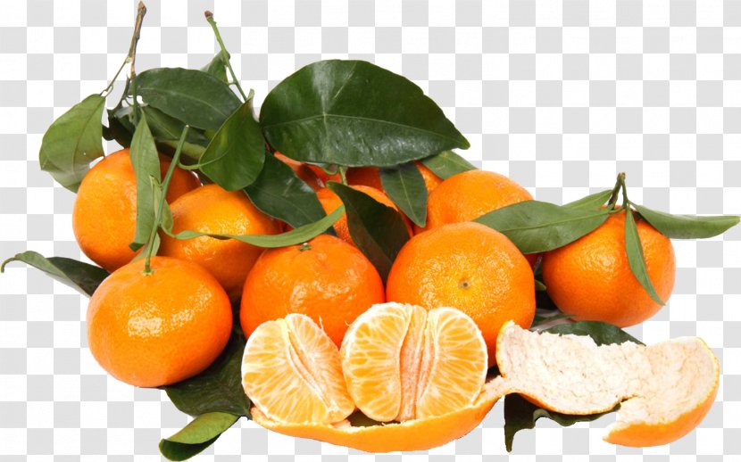 Clementine Mandarin Orange Tangerine Food - Bitter - Persimmon Transparent PNG