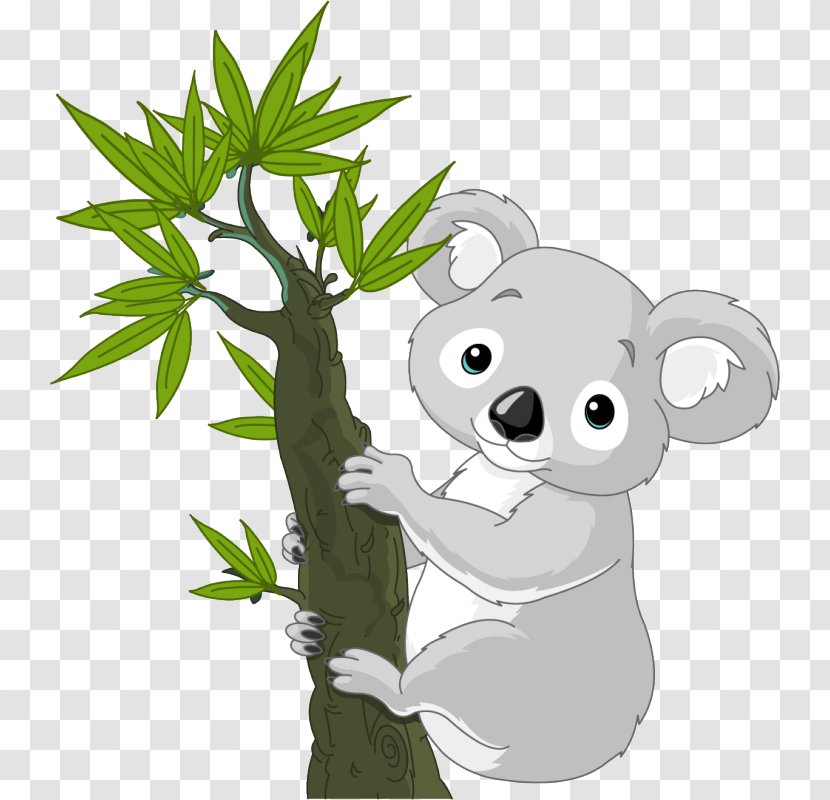 Koala Cuteness Clip Art - Marsupial Transparent PNG