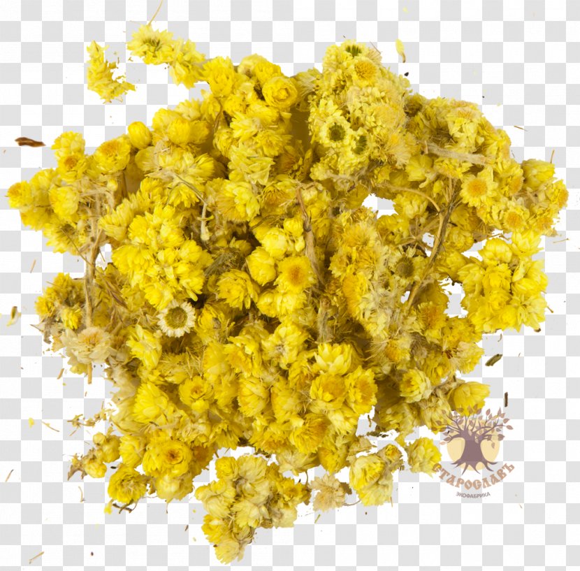 Helichrysum Arenarium Turmeric Yellow Herb Dye Transparent PNG