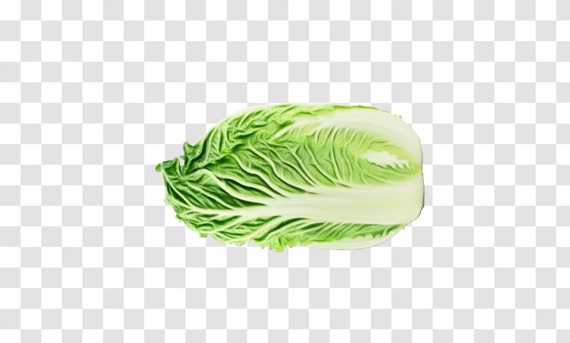 Green Vegetable Cabbage Leaf - Wild - Food Transparent PNG