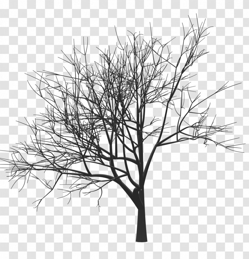 Tree Drawing Woody Plant Twig Monochrome - Grass - Mark Zuckerberg Transparent PNG