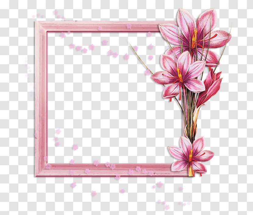 Floral Design Flower - Blossom Transparent PNG