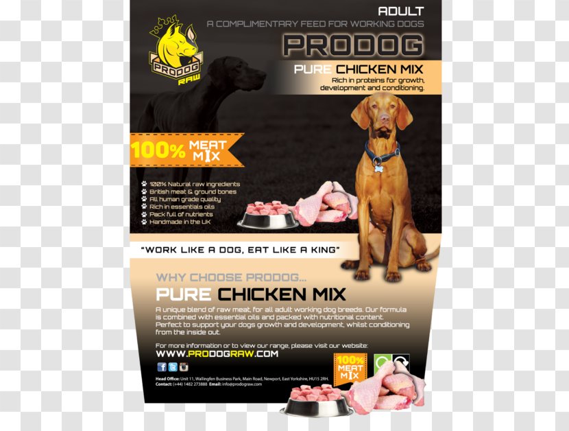 Raw Foodism Feeding Dog Nutrition Eating - Animal - Chicken Transparent PNG