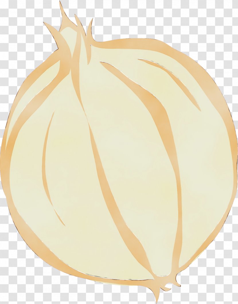 Onion Vegetable Yellow Plant Allium - Wet Ink - Amaryllis Family Food Transparent PNG