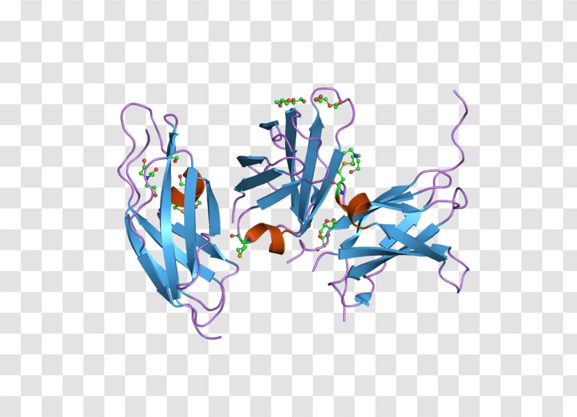 Neural Cell Adhesion Molecule Neuron Glycoprotein - Watercolor - Fibronectin Transparent PNG