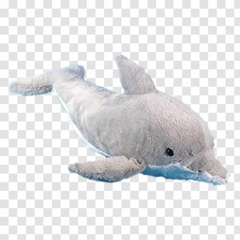 Dolphin Porpoise Stuffed Animals & Cuddly Toys Cetacea Wildlife - Whales Dolphins And Porpoises - Toy Transparent PNG
