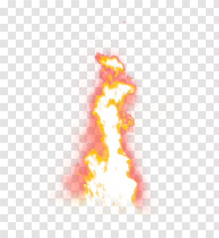 Flame Fire Information - Tree Transparent PNG