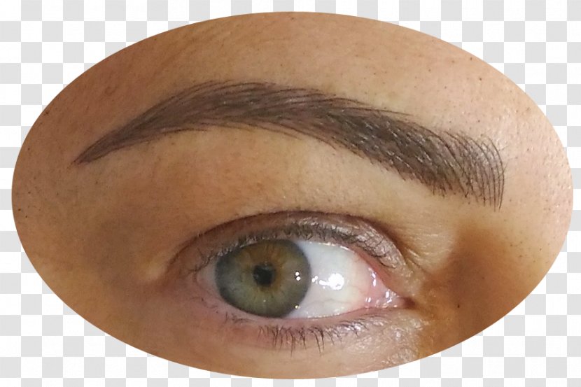 Permanent Makeup Eyebrow Eye Shadow Microblading Lip - Eyelash - Sobrancelhas Transparent PNG