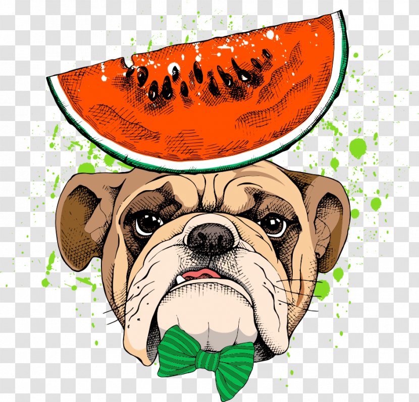 Pug Pet - Dog - Vector Watermelon Transparent PNG