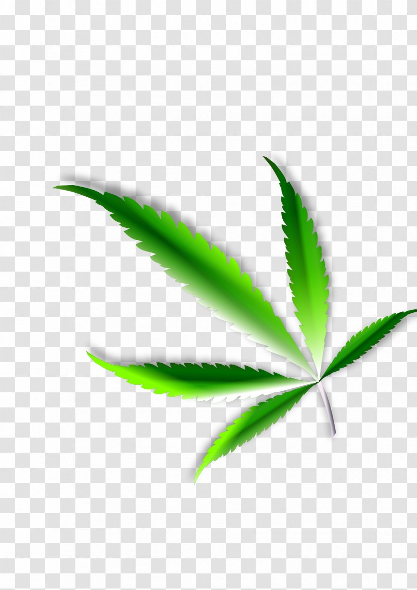 Medical Cannabis Leaf Hemp Clip Art - Plant Transparent PNG