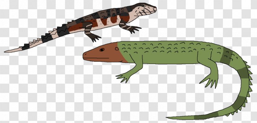 Common Iguanas Lizard Reptile Crocodile Gecko - Terrestrial Animal - Northern Caiman Transparent PNG