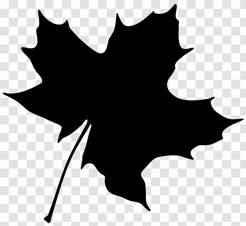 Vector Graphics Maple Leaf Clip Art Image - Logo - Tree Transparent PNG