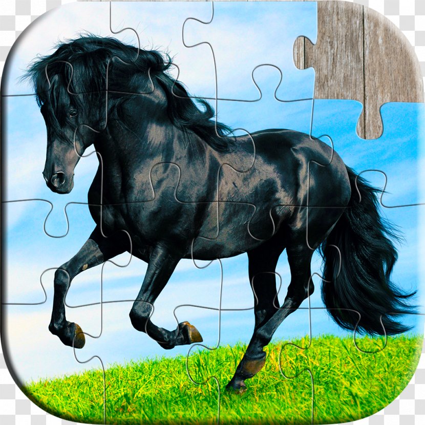 Horse Jigsaw Puzzles Game - For Kids Adults - & AdultsHorse Transparent PNG