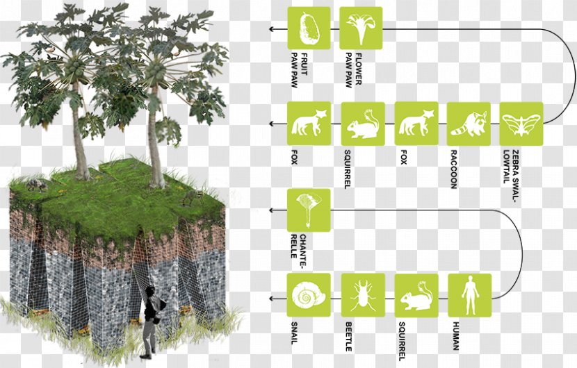 Anthropocene Natural Environment Architecture Ecology Quaternary - Nature Transparent PNG