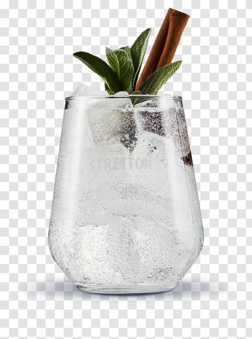 Gin And Tonic Water Cocktail Distilled Beverage Transparent PNG