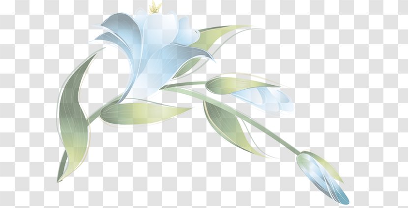 Flower Petal Floral Design Plant Stem - Birthday Transparent PNG