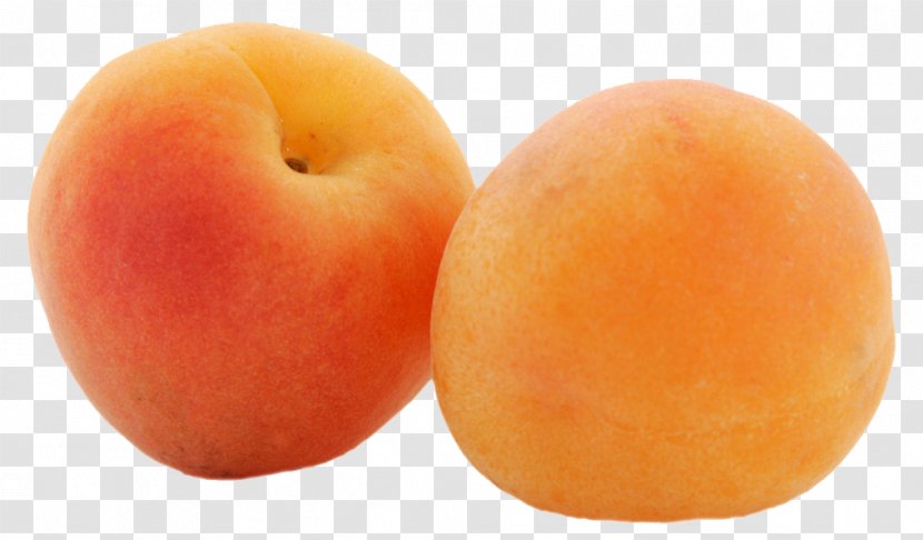 Dried Apricot Peach Fruit - Drupe Transparent PNG