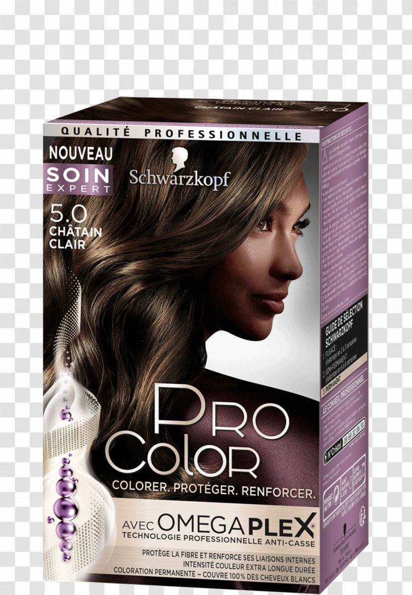 Hair Coloring Human Color Blond Garnier - Capelli Transparent PNG