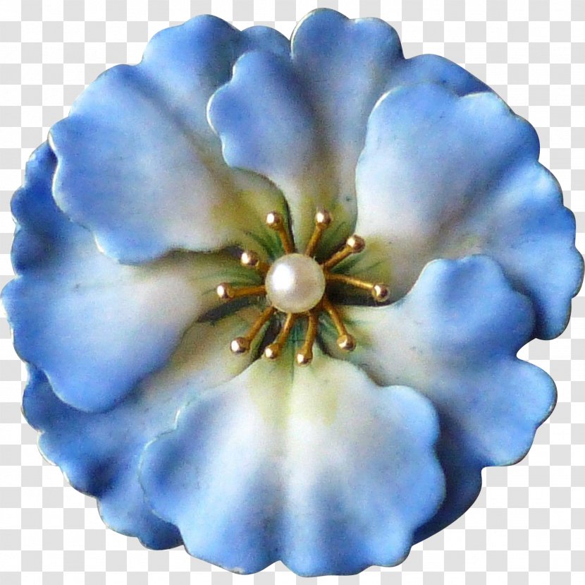 Cobalt Blue Flowering Plant Petal - Stamens Transparent PNG