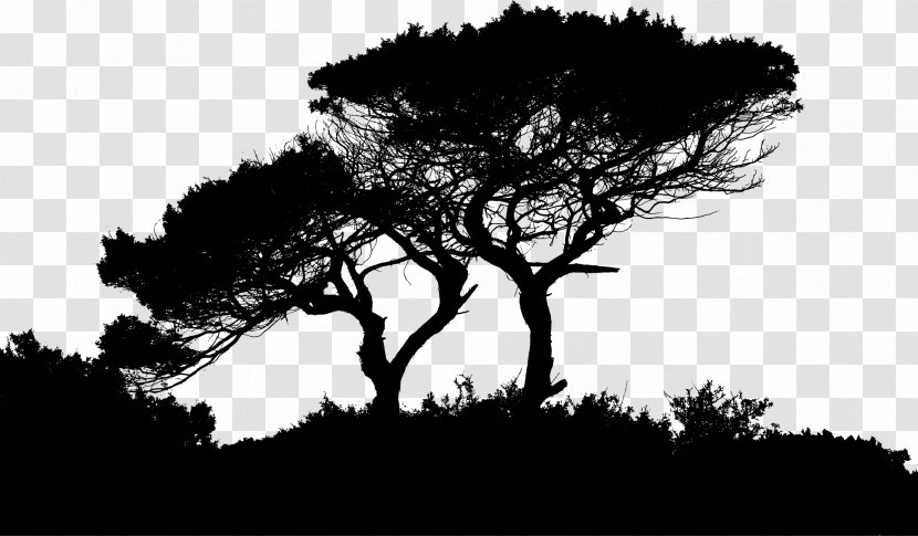 Landscape Silhouette Landscaping - Tree Transparent PNG