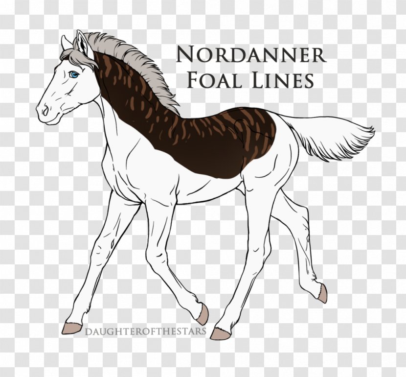 Mane Mustang Foal Pony Colt - Organism Transparent PNG