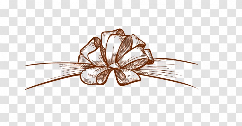 Shoelace Knot Flower Ribbon - Hand-painted Bow Transparent PNG