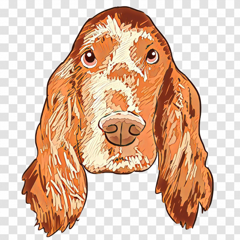 Dog Cocker Spaniel Spaniel Sporting Group Irish Setter Transparent PNG