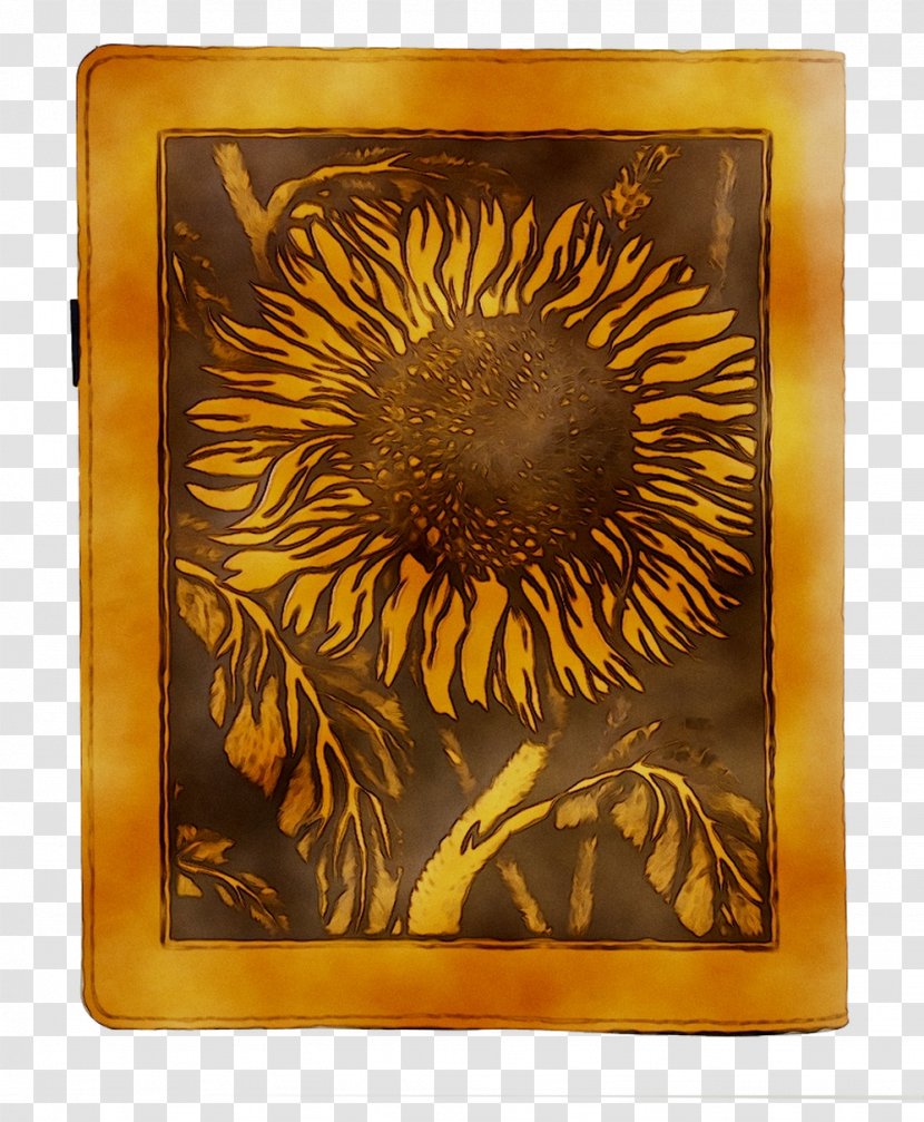 Still Life Photography Picture Frames Rectangle - Plant - Sunflower Transparent PNG
