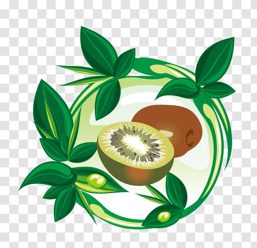 Fruit Stock Photography - Kiwifruit - Kiwi Green Cartoon Vector Transparent PNG