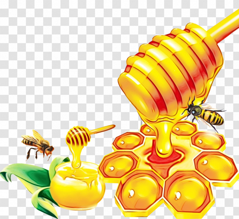 Insects Honey Bee Bees Pollinator Honey Transparent PNG