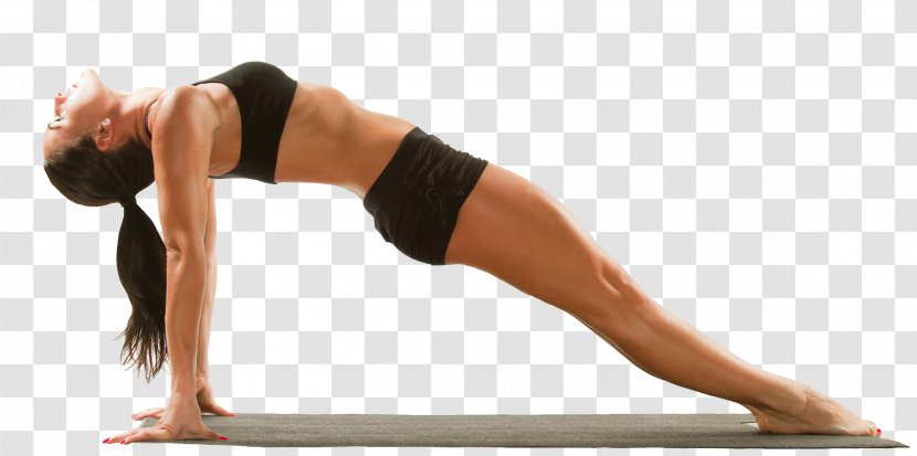 Pilates Exercise Core Stability Yoga - Tree Transparent PNG