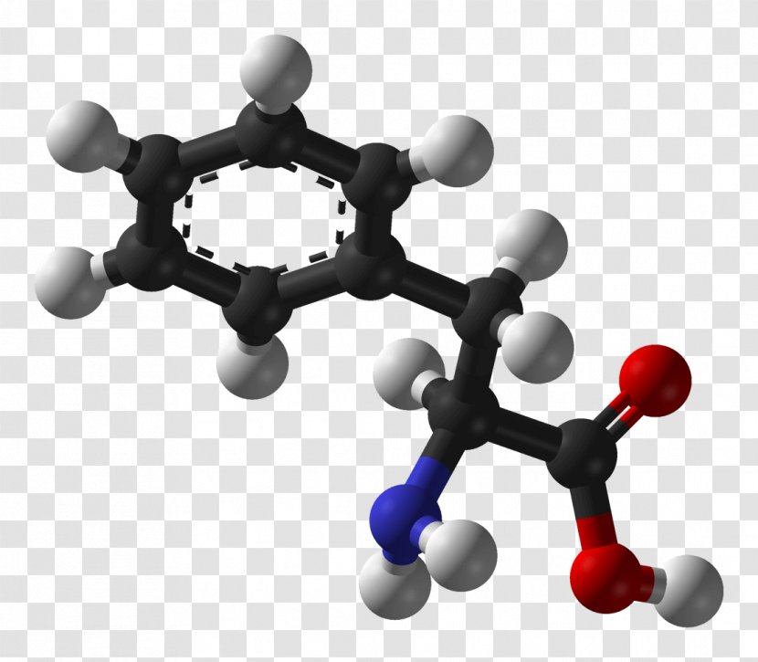 Phenylalanine Essential Amino Acid Levodopa Tyrosine - Body Jewelry Transparent PNG