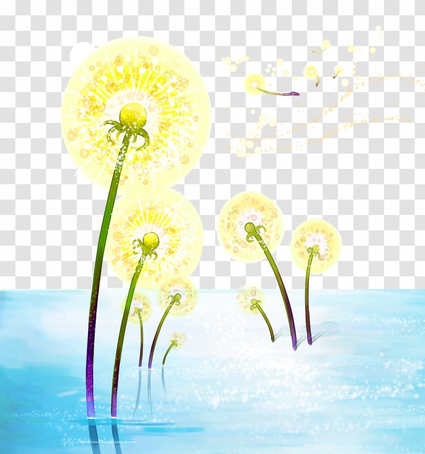 Watercolor Painting Fundal Illustration - Flowering Plant - Water Dandelion Transparent PNG