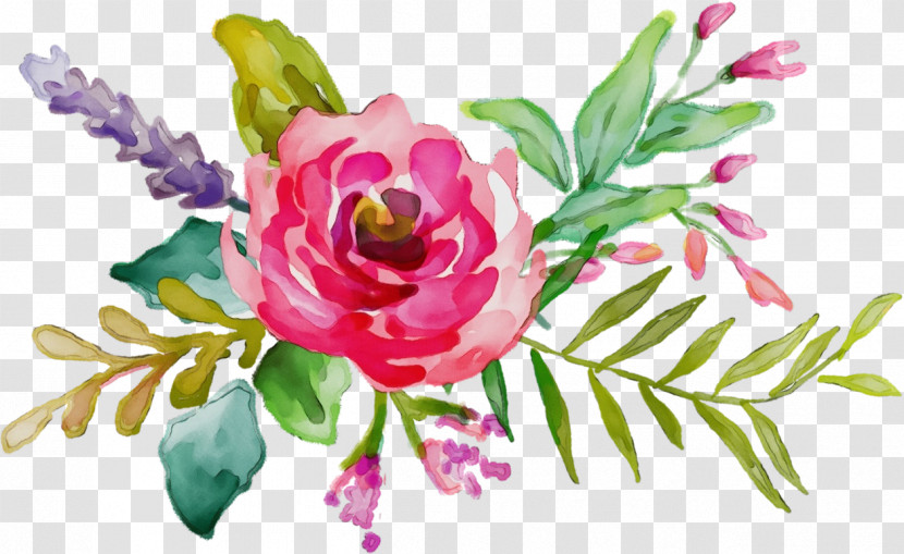 Floral Design Transparent PNG