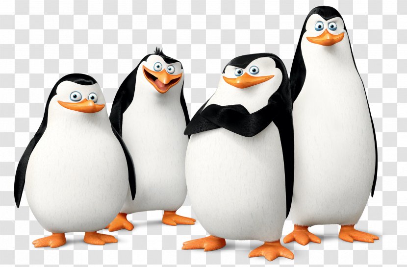 Julien Melman Penguin Madagascar DreamWorks Animation - Bird - Penguins Transparent PNG