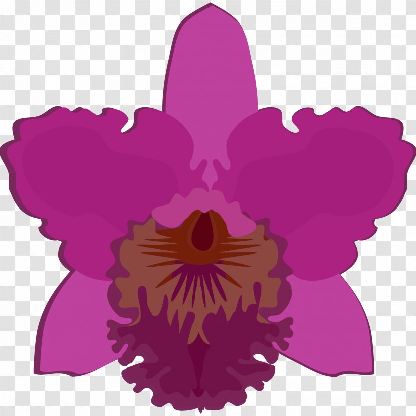 Clip Art Orchids Drawing Openclipart - Botanical Illustration - Flower Transparent PNG