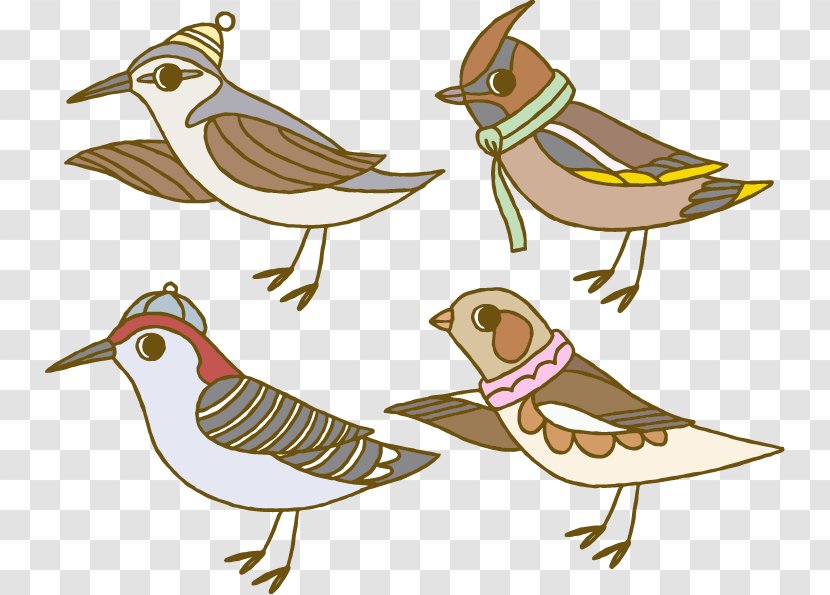Bird Euclidean Vector Clip Art - Beak - Cartoon Winter Animal Sparrow Transparent PNG