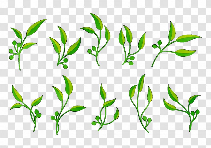 Twig Plant Stem Leaf Flower Clip Art - Plants - Herbal Transparent PNG