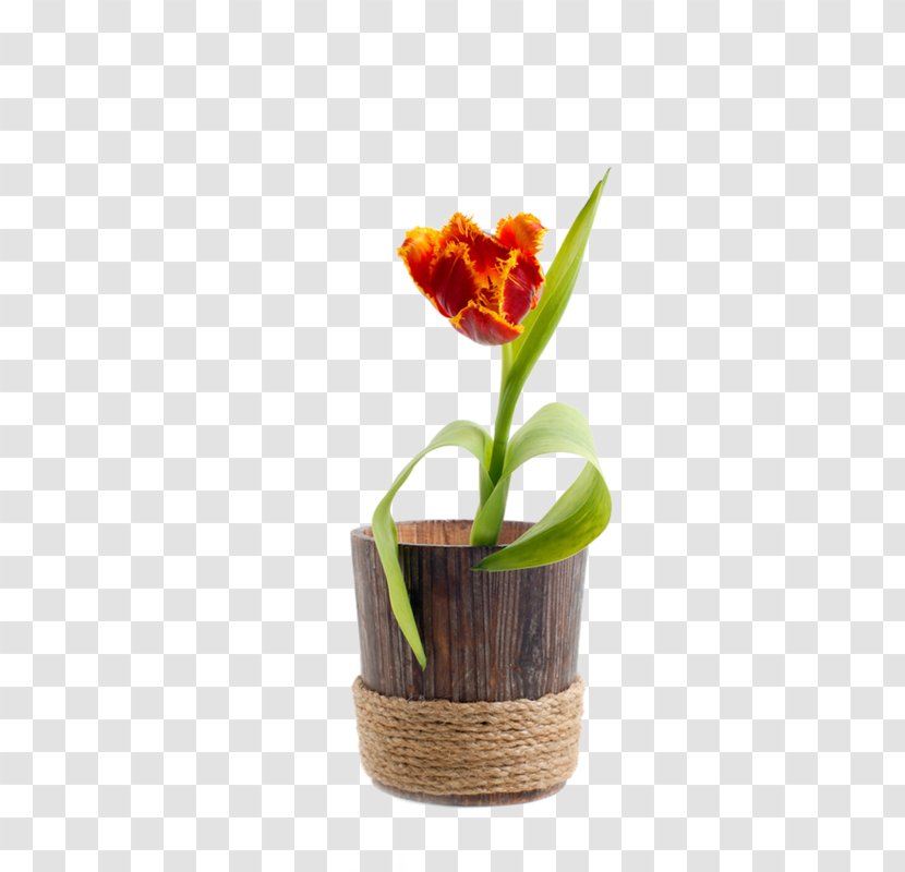 Tulip Flowerpot Wood - Plant Transparent PNG
