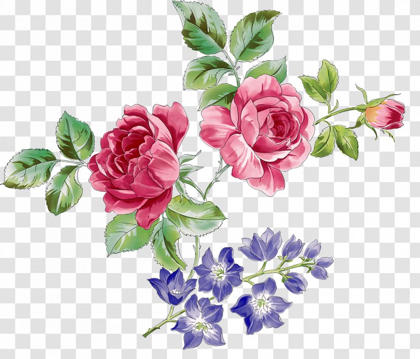 Rosa Chinensis Beach Rose Flower Clip Art - Order - Plum Transparent PNG