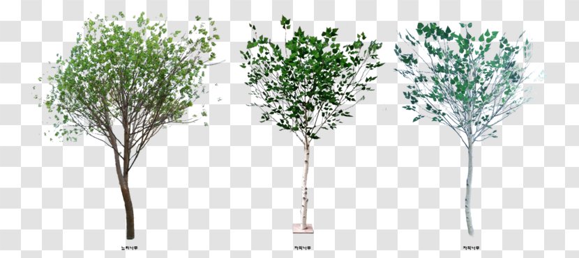 Adobe Photoshop Tree Shrub Sauce - Plant - Landscaping Transparent PNG