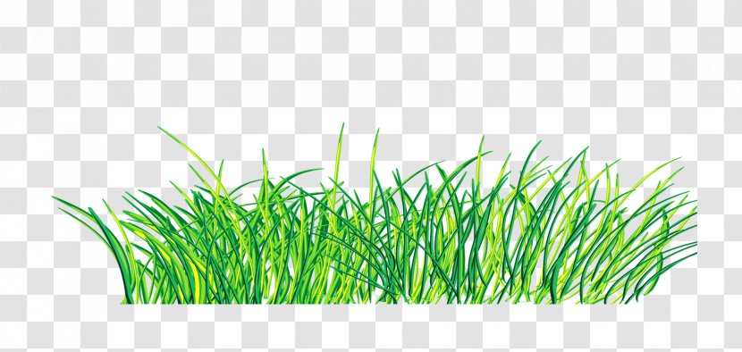 Green Clip Art - Grass - Hand Painted Decoration Pattern Transparent PNG