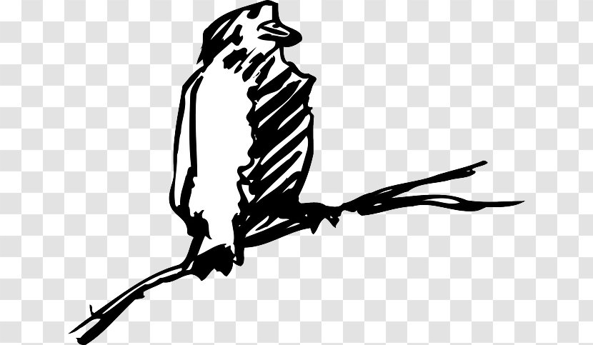 Bird Beak Drawing Clip Art - Cartoon Transparent PNG