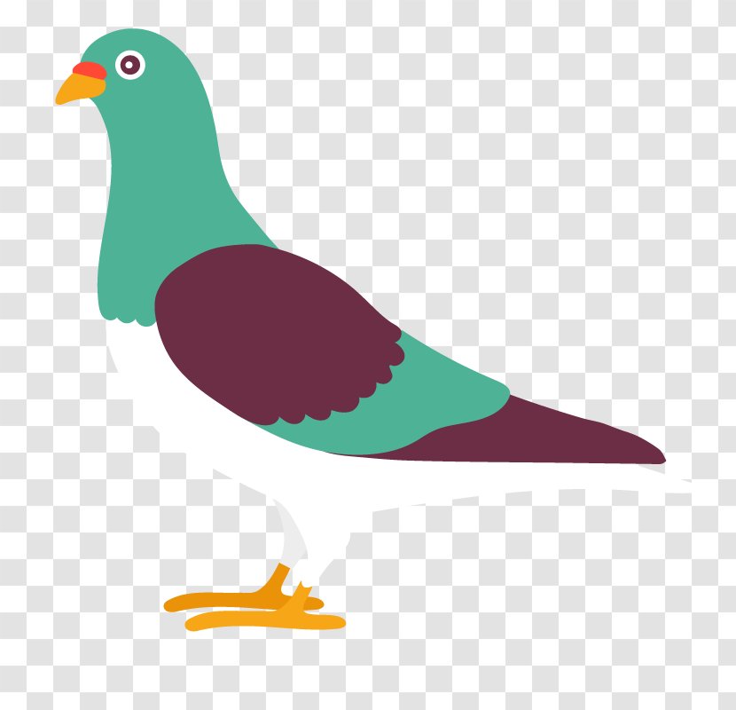 Image Illustration Photograph - Animation - Bird Support Transparent PNG