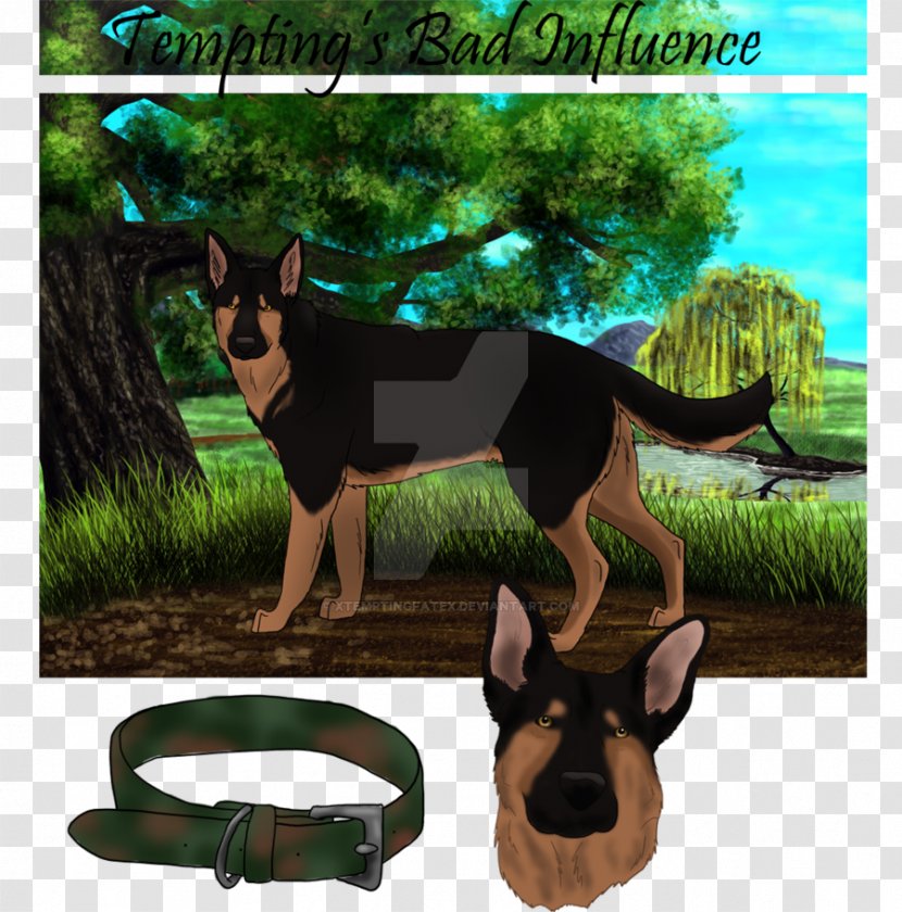 Dog Breed Macropodidae Fauna Wildlife - Grass - Tempting Transparent PNG